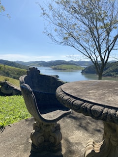 A stone chair and table set in a natural landscape with a scenic view of a lake and surrounding hills. The table and chair have intricate carvings and are set on a concrete surface with green grass and a large tree nearby. The sky is clear and blue, enhancing the serene atmosphere.