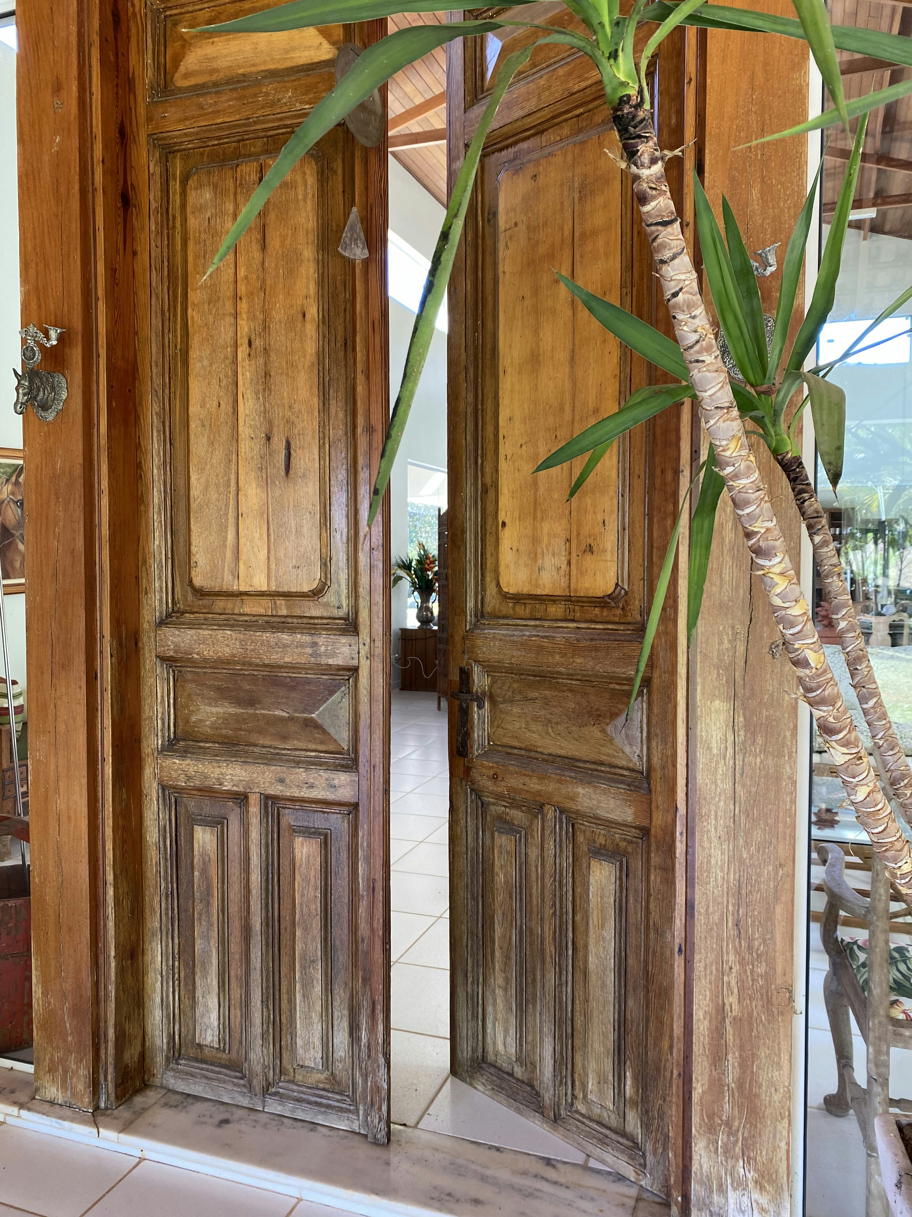 due porte di legno con una pianta nel mezzo di esse
