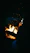 A cozy campfire glowing warmly against a dark forest backdrop under a starry night sky.