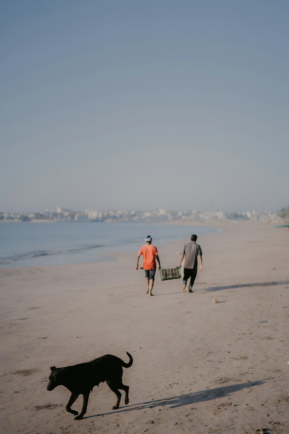 two people walking on a beach with a dog