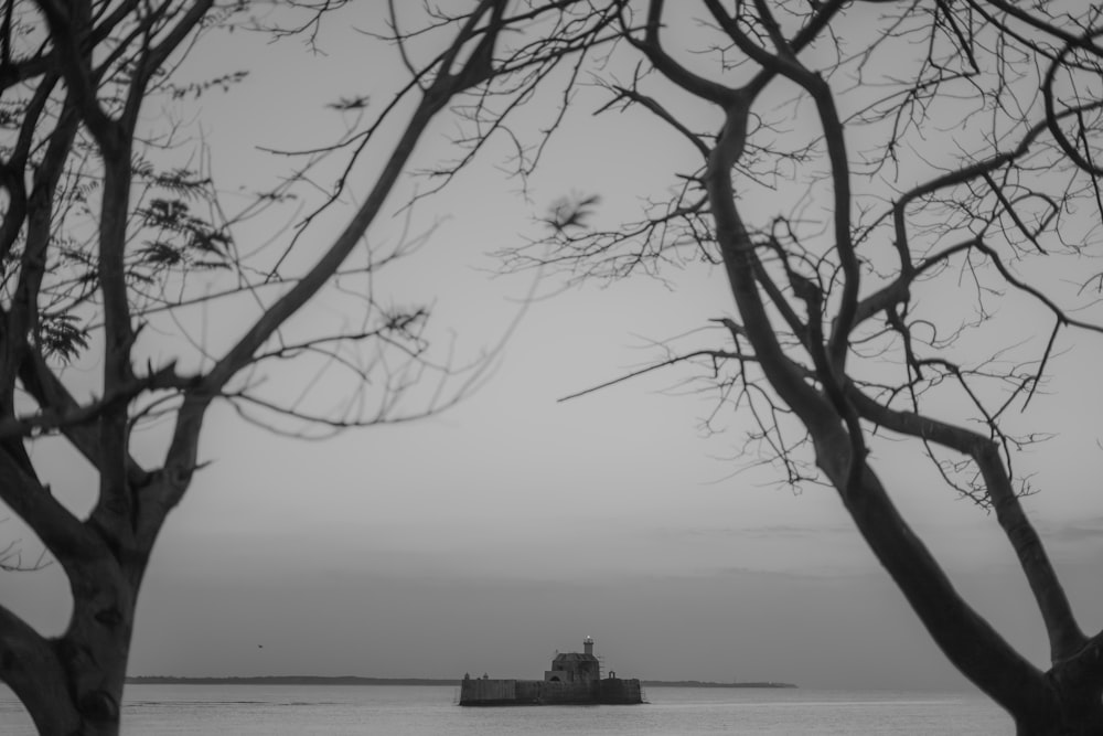 a boat is out on the water near some trees