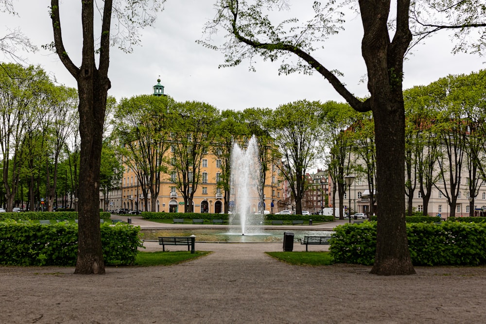 une fontaine dans un parc entouré d’arbres