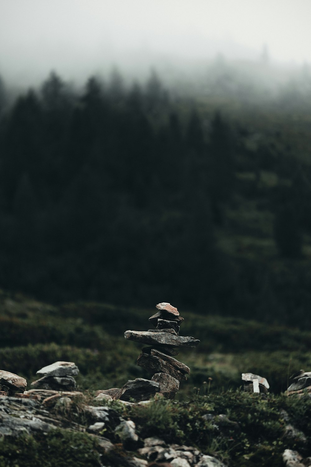 Un mucchio di rocce seduto in cima a un rigoglioso campo verde