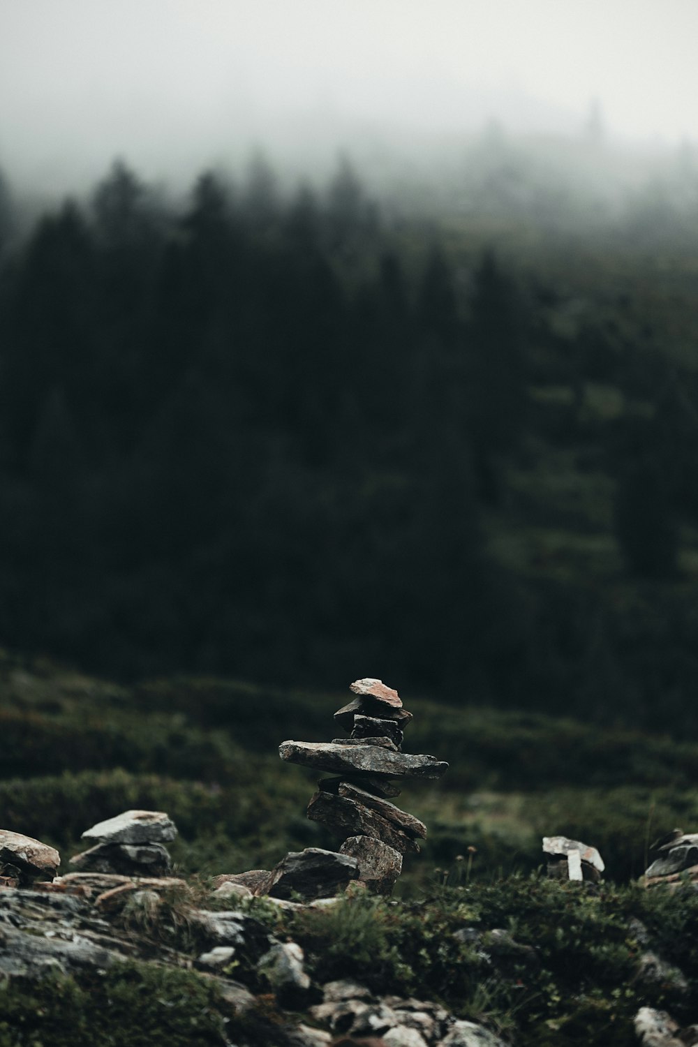 a pile of rocks sitting on top of a lush green field