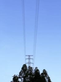 A set of high-voltage power lines supported by a tall transmission tower extends into the clear blue sky. The tower is partially obscured by the tops of several tall trees with green foliage.