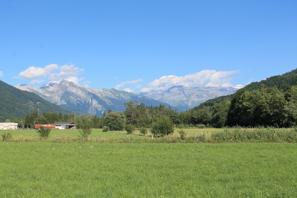 a green field with mountains in the background