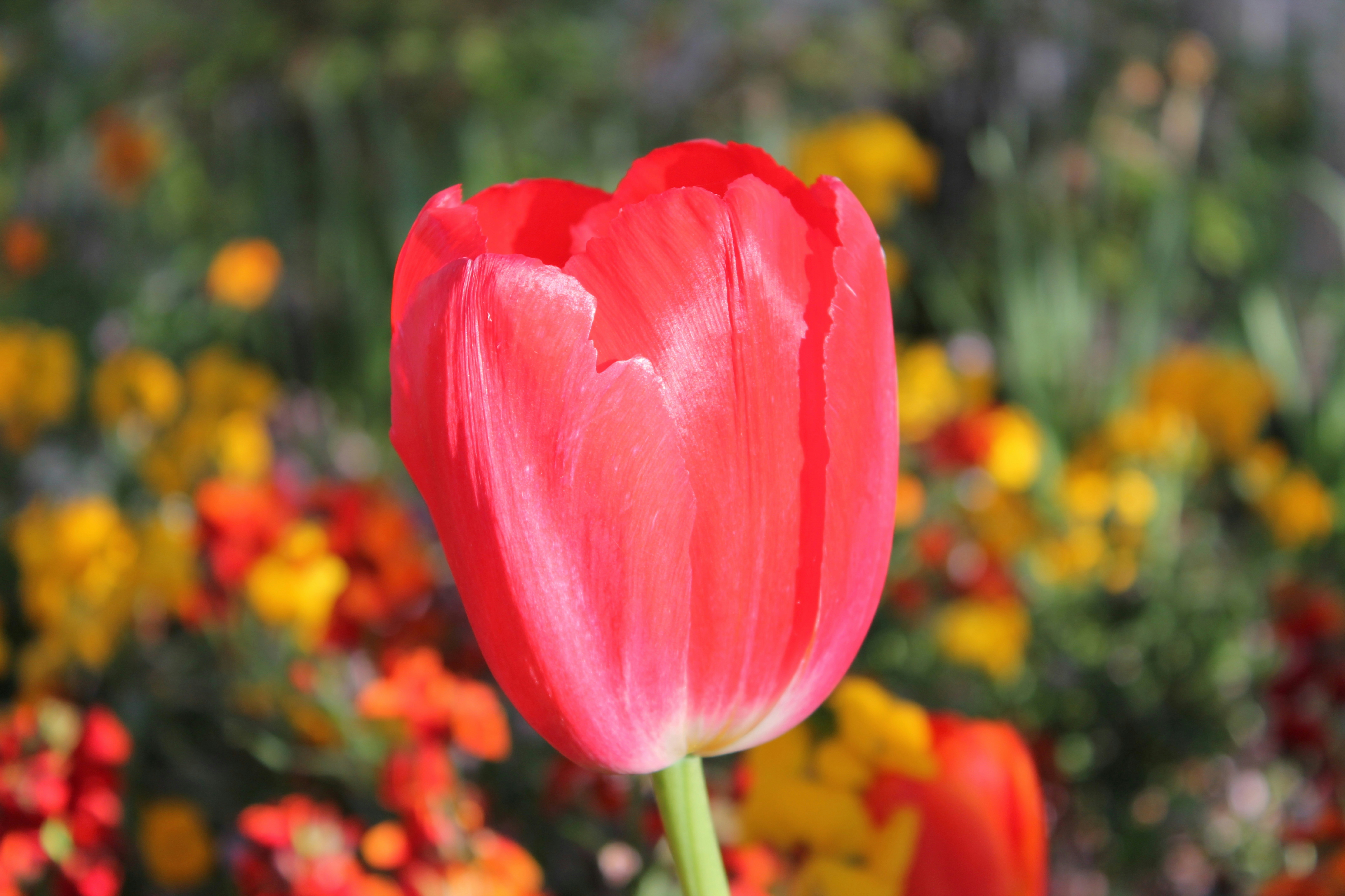 Photo by blackakouma