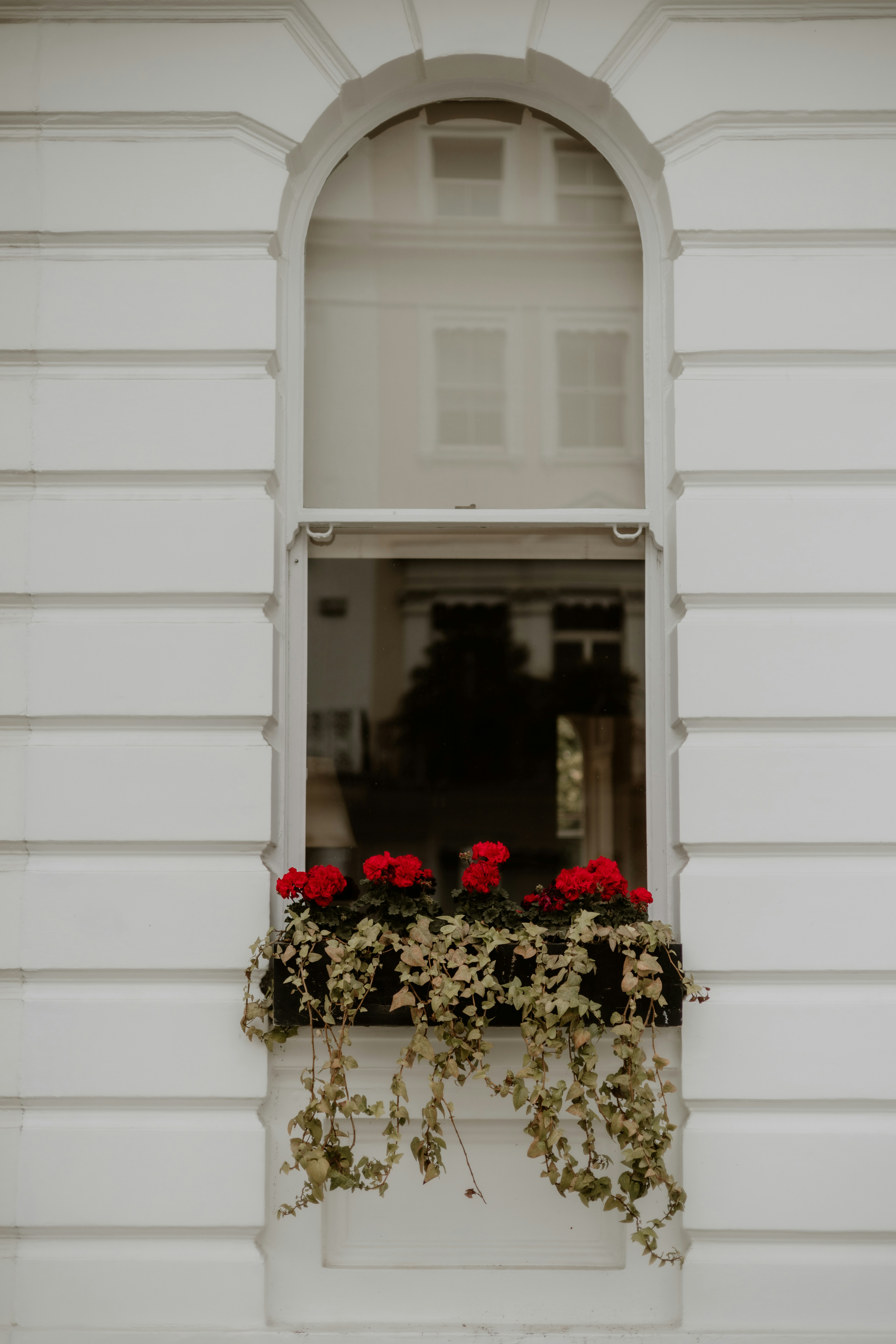 Photo by joshwithers