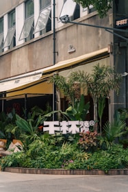 A storefront is adorned with lush green plants in a variety of textures and shades. Above the plants, there is a sign with large white letters. The building has a modern exterior with multiple open windows, and an awning provides shade over the entrance. The scene is urban and vibrant with a mix of natural and architectural elements.