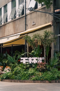 A storefront is adorned with lush green plants in a variety of textures and shades. Above the plants, there is a sign with large white letters. The building has a modern exterior with multiple open windows, and an awning provides shade over the entrance. The scene is urban and vibrant with a mix of natural and architectural elements.