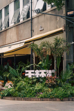 A sunlit storefront with a hand-painted sign reading 'greenehouse & co', surrounded by greenery.