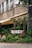 A storefront is adorned with lush green plants in a variety of textures and shades. Above the plants, there is a sign with large white letters. The building has a modern exterior with multiple open windows, and an awning provides shade over the entrance. The scene is urban and vibrant with a mix of natural and architectural elements.