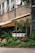 A storefront is adorned with lush green plants in a variety of textures and shades. Above the plants, there is a sign with large white letters. The building has a modern exterior with multiple open windows, and an awning provides shade over the entrance. The scene is urban and vibrant with a mix of natural and architectural elements.
