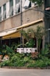 A storefront is adorned with lush green plants in a variety of textures and shades. Above the plants, there is a sign with large white letters. The building has a modern exterior with multiple open windows, and an awning provides shade over the entrance. The scene is urban and vibrant with a mix of natural and architectural elements.