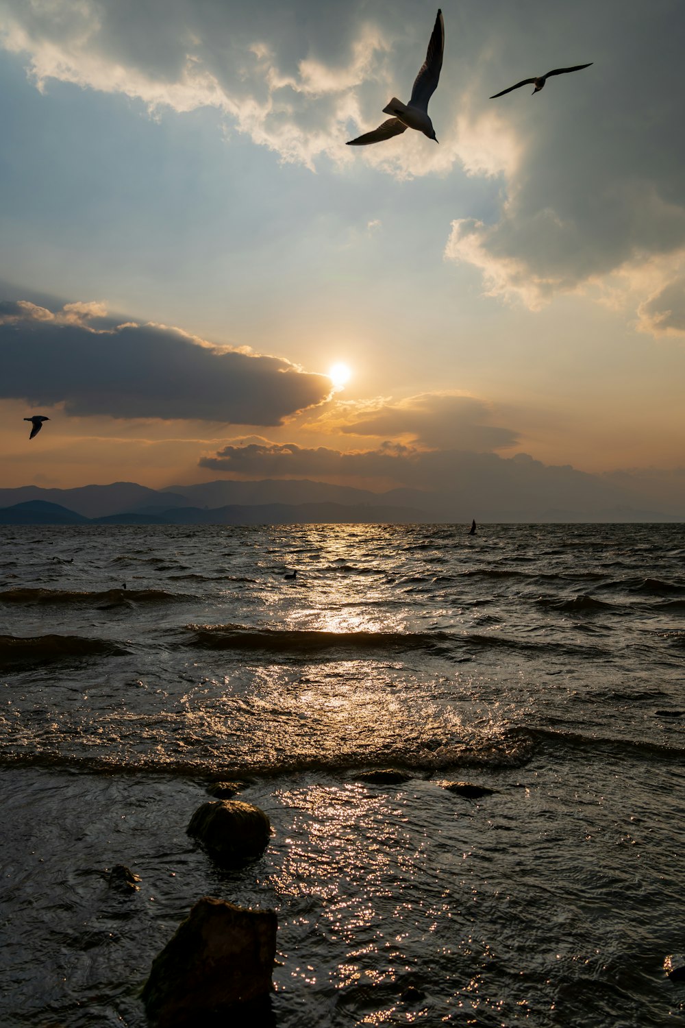 a couple of birds flying over a body of water