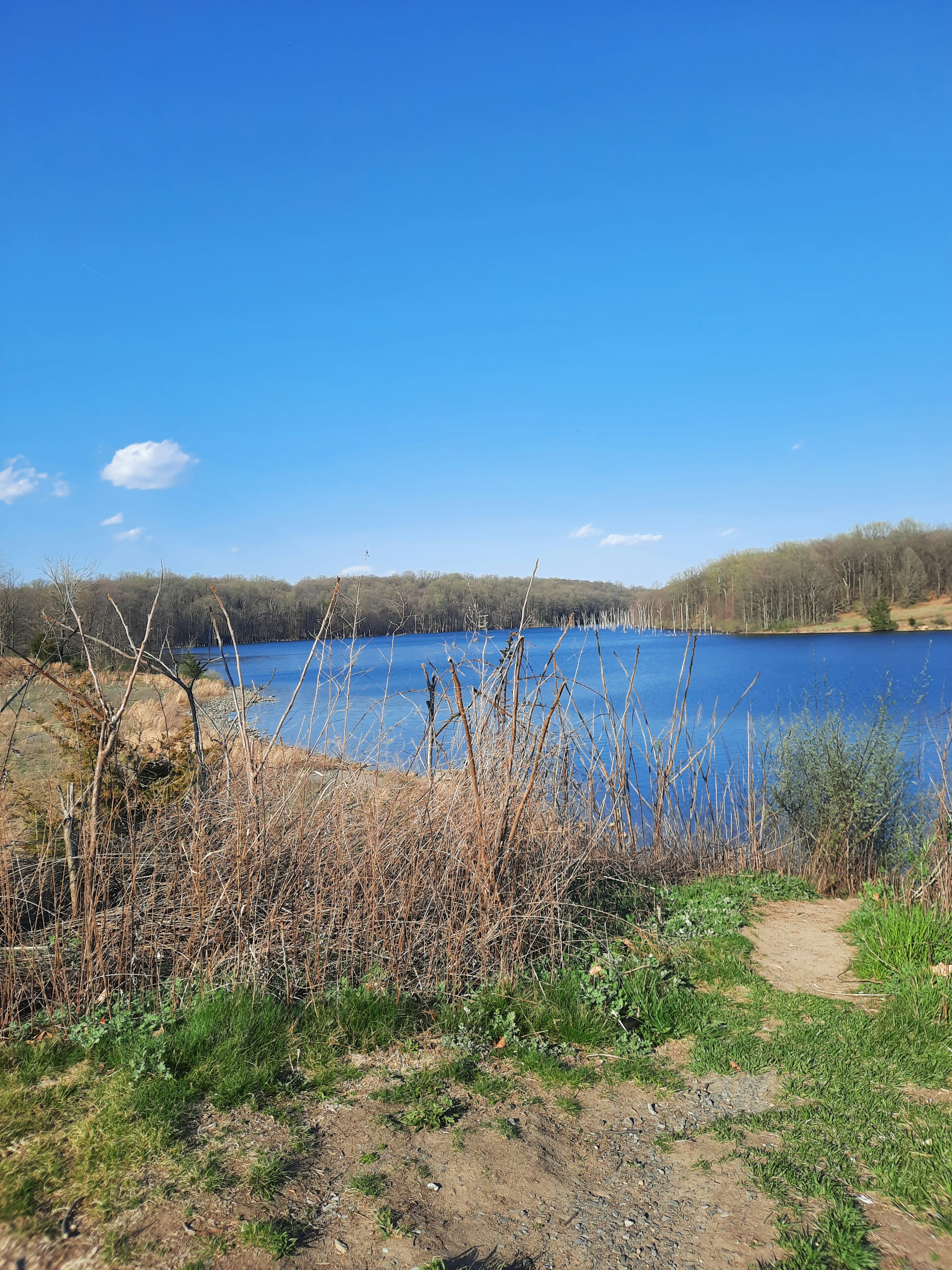 Photo by spydermarketingco