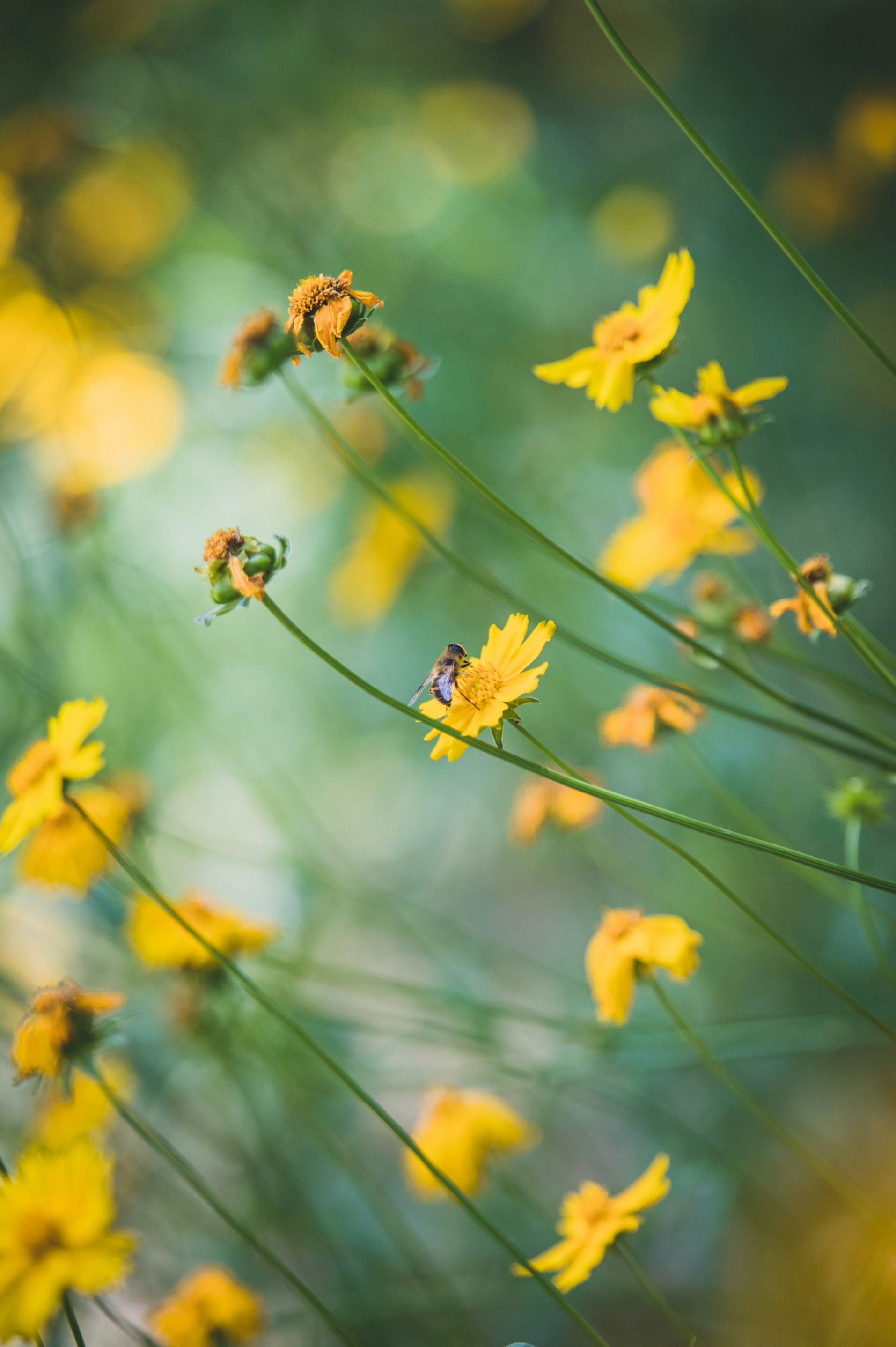 Photo by peek_a_boo_who