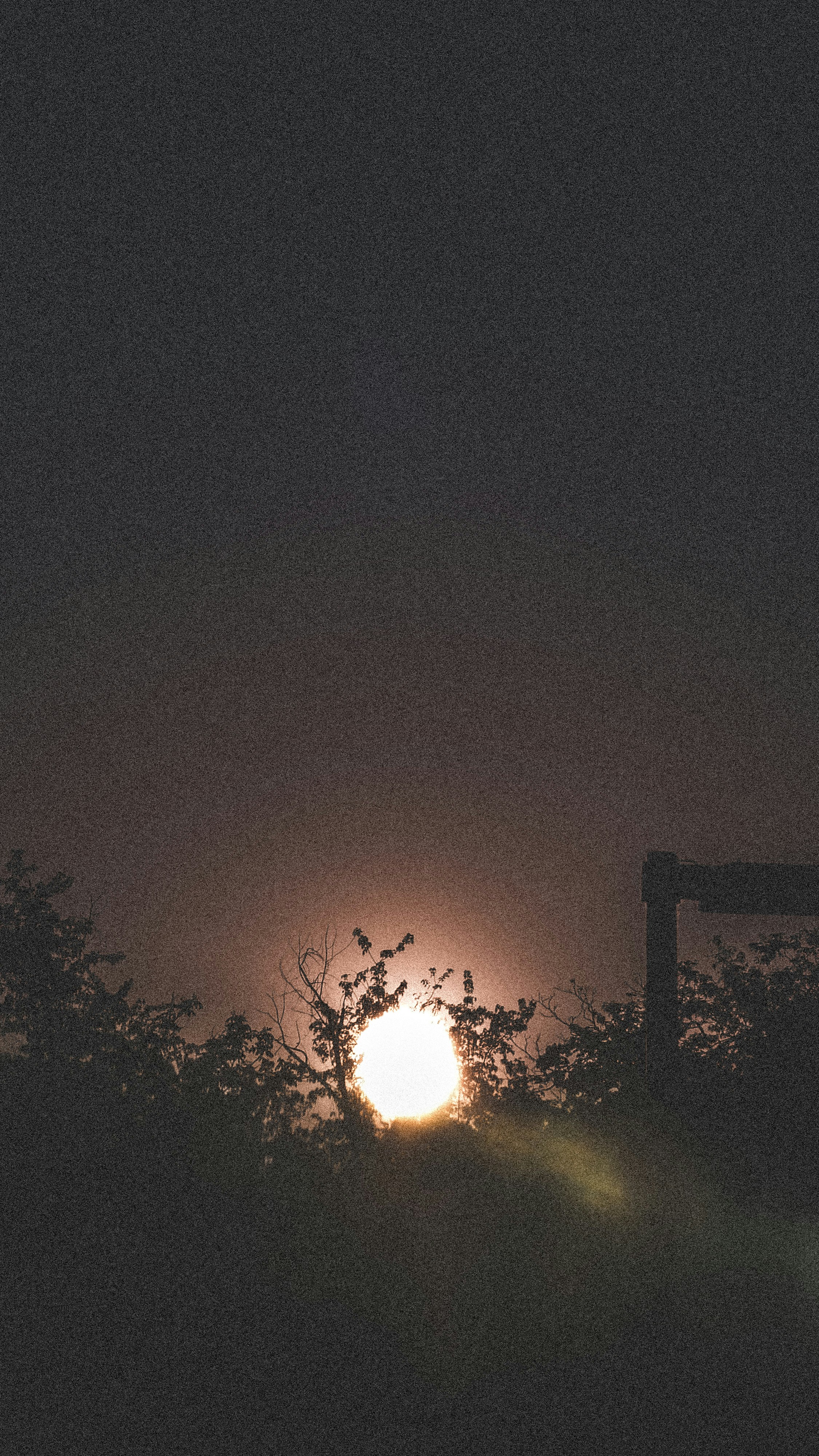 Photo by axelrodsun