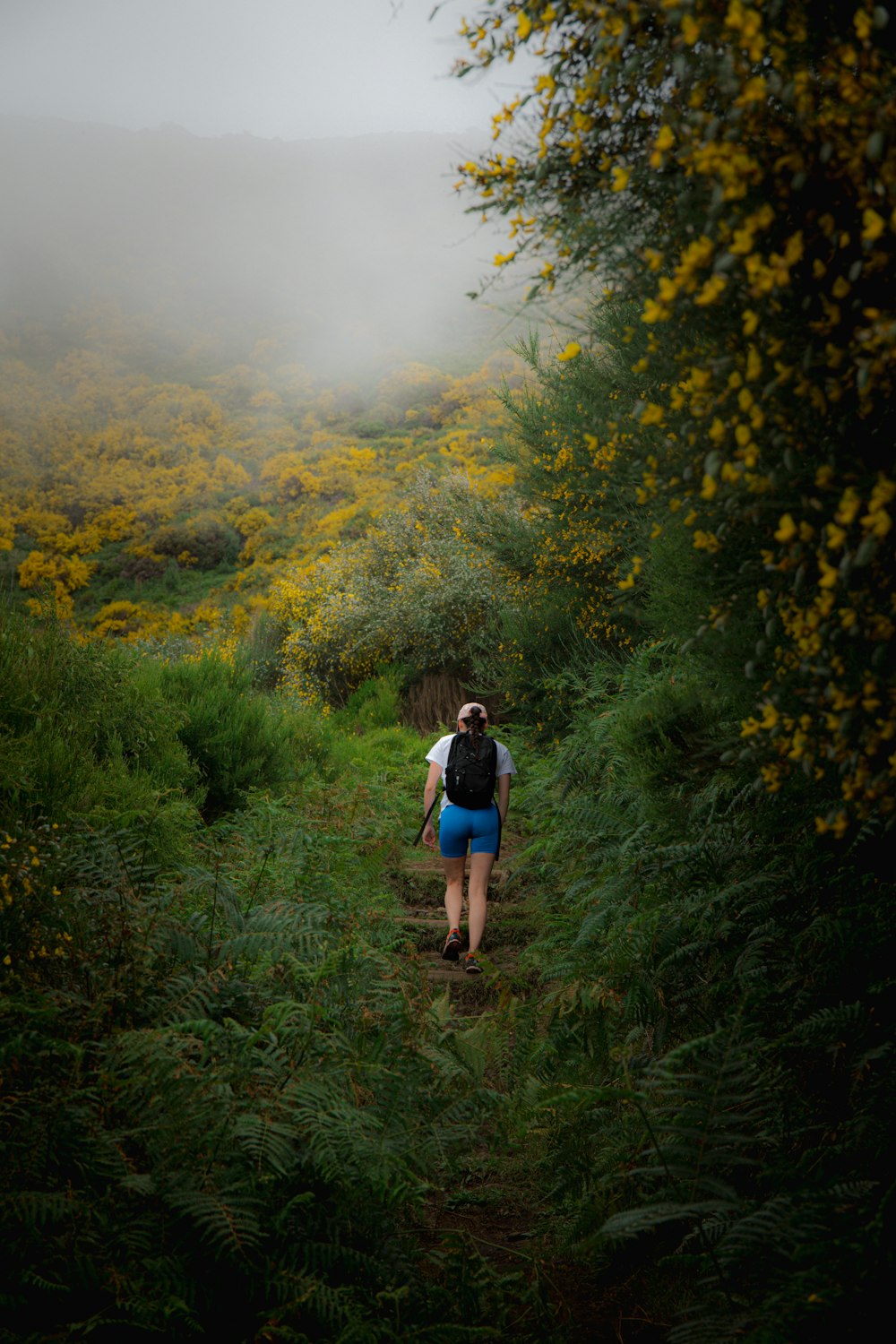 a person walking up a trail in the woods