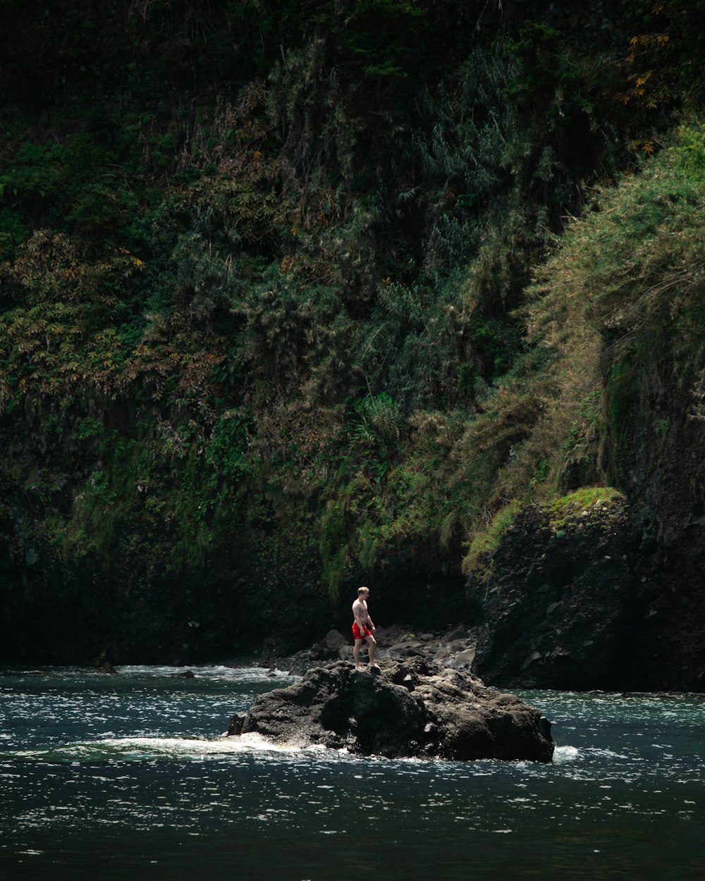 a person standing on a rock in the middle of a river