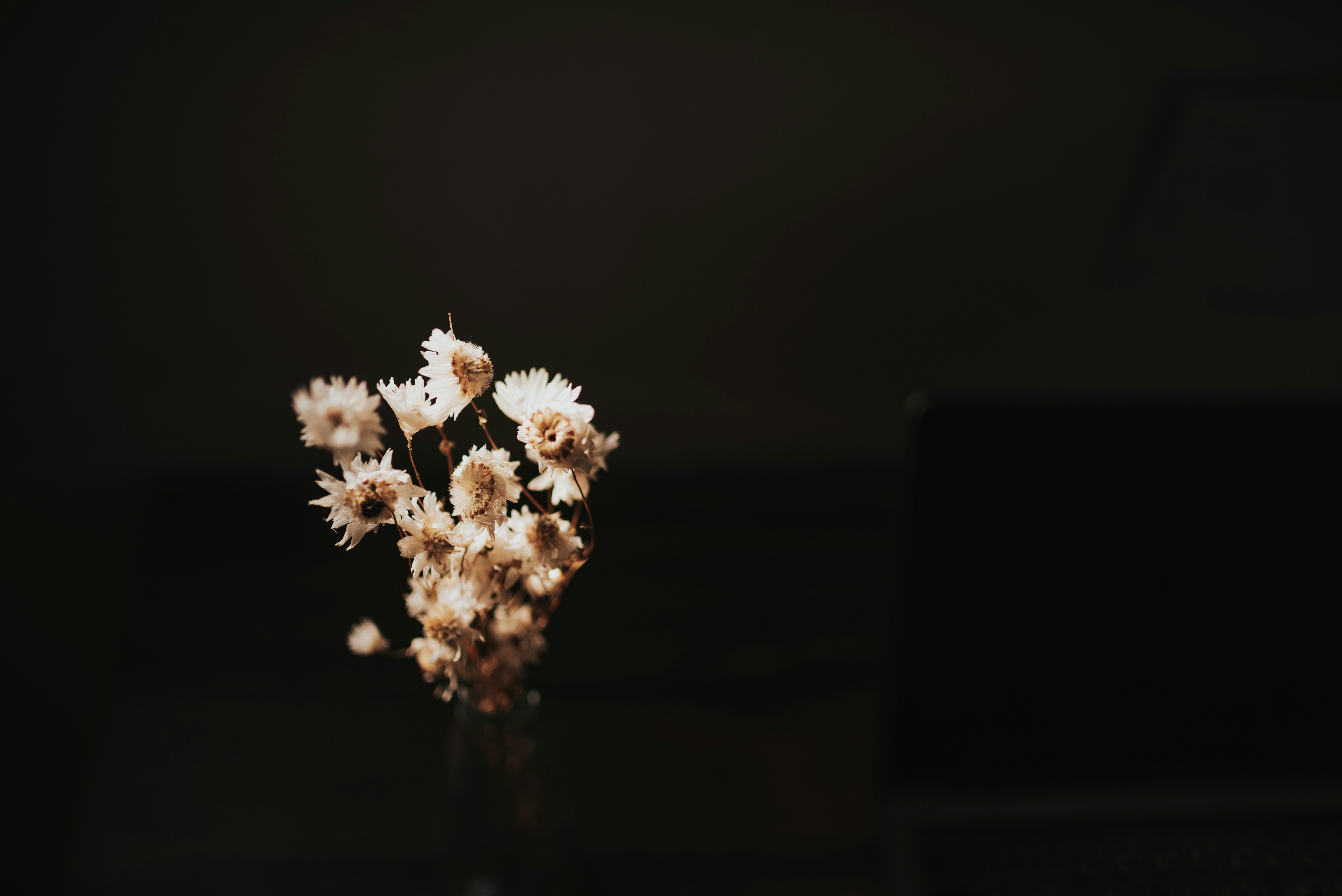 Photo by jessikaarraes