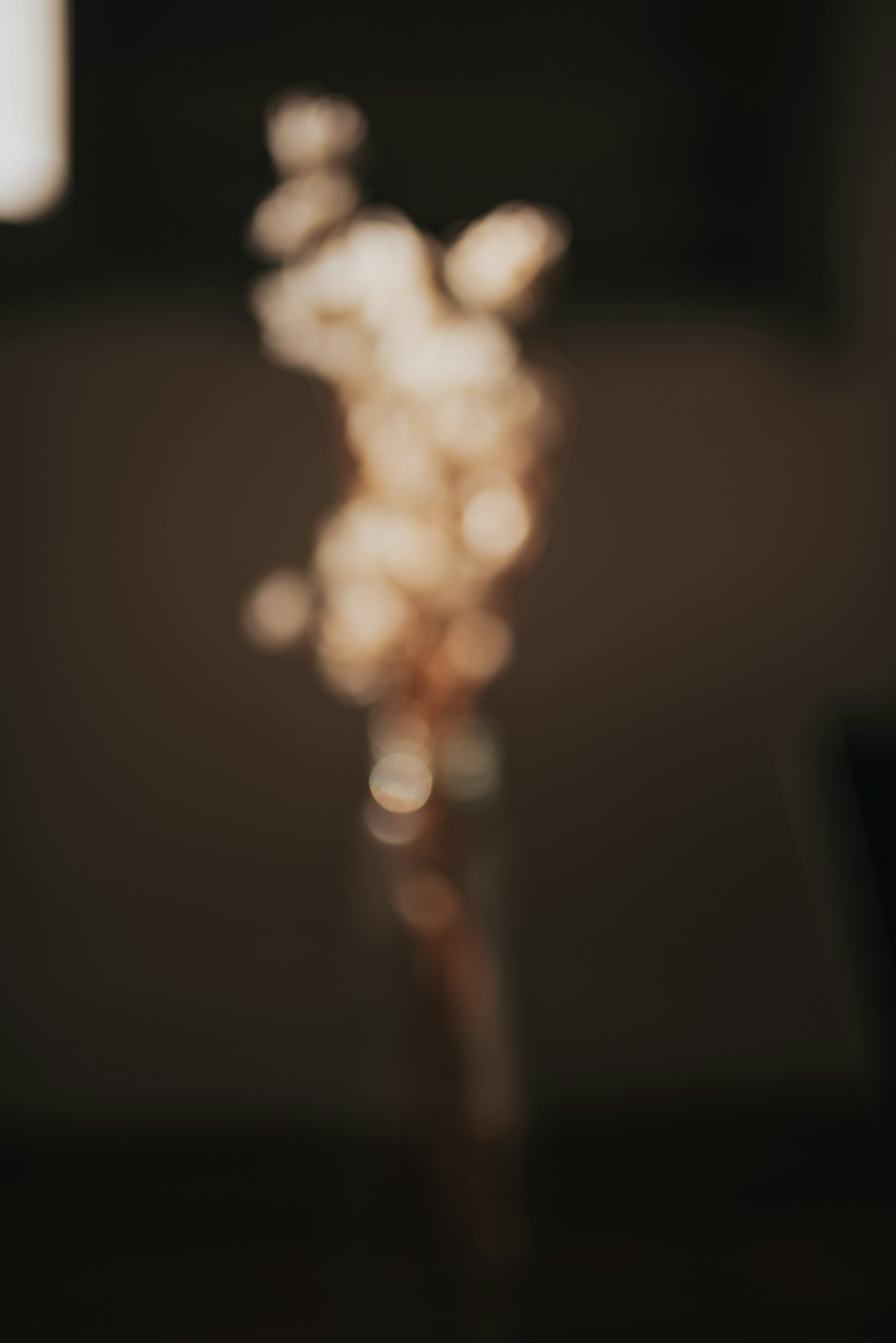 Photo by jessikaarraes