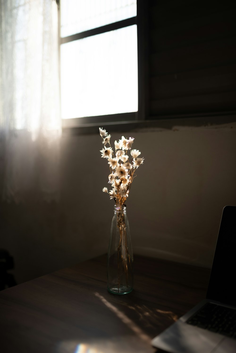 a vase of flowers sitting on a table next to a laptop