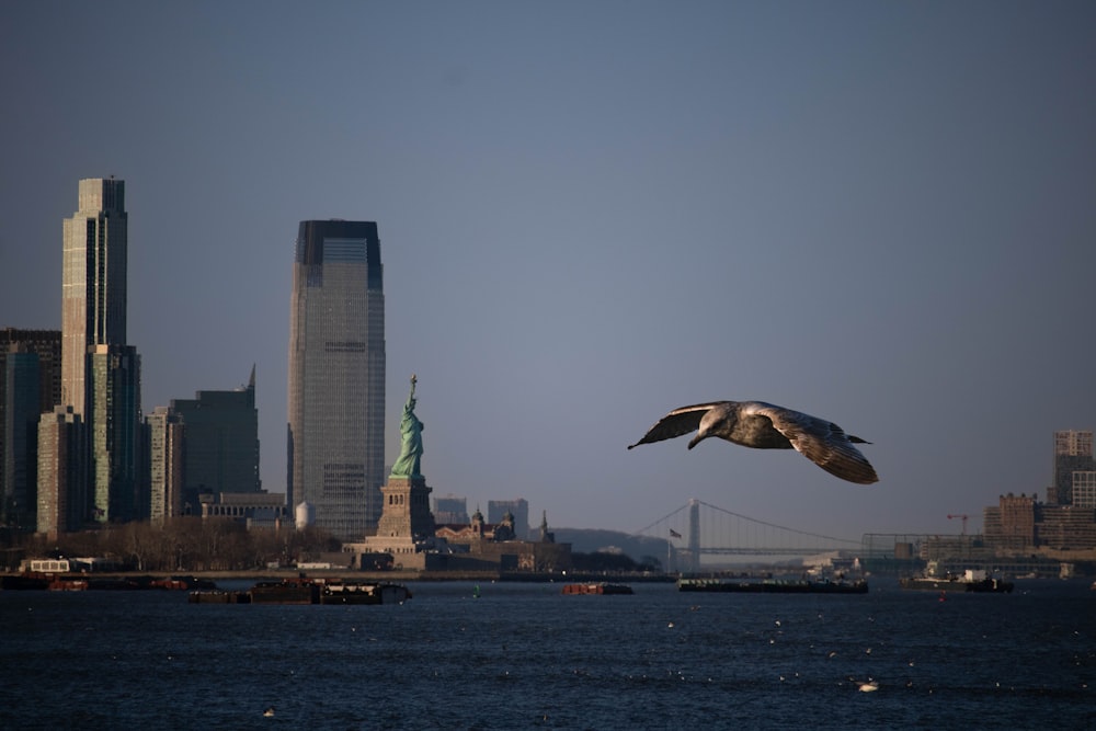 a large bird flying over a body of water