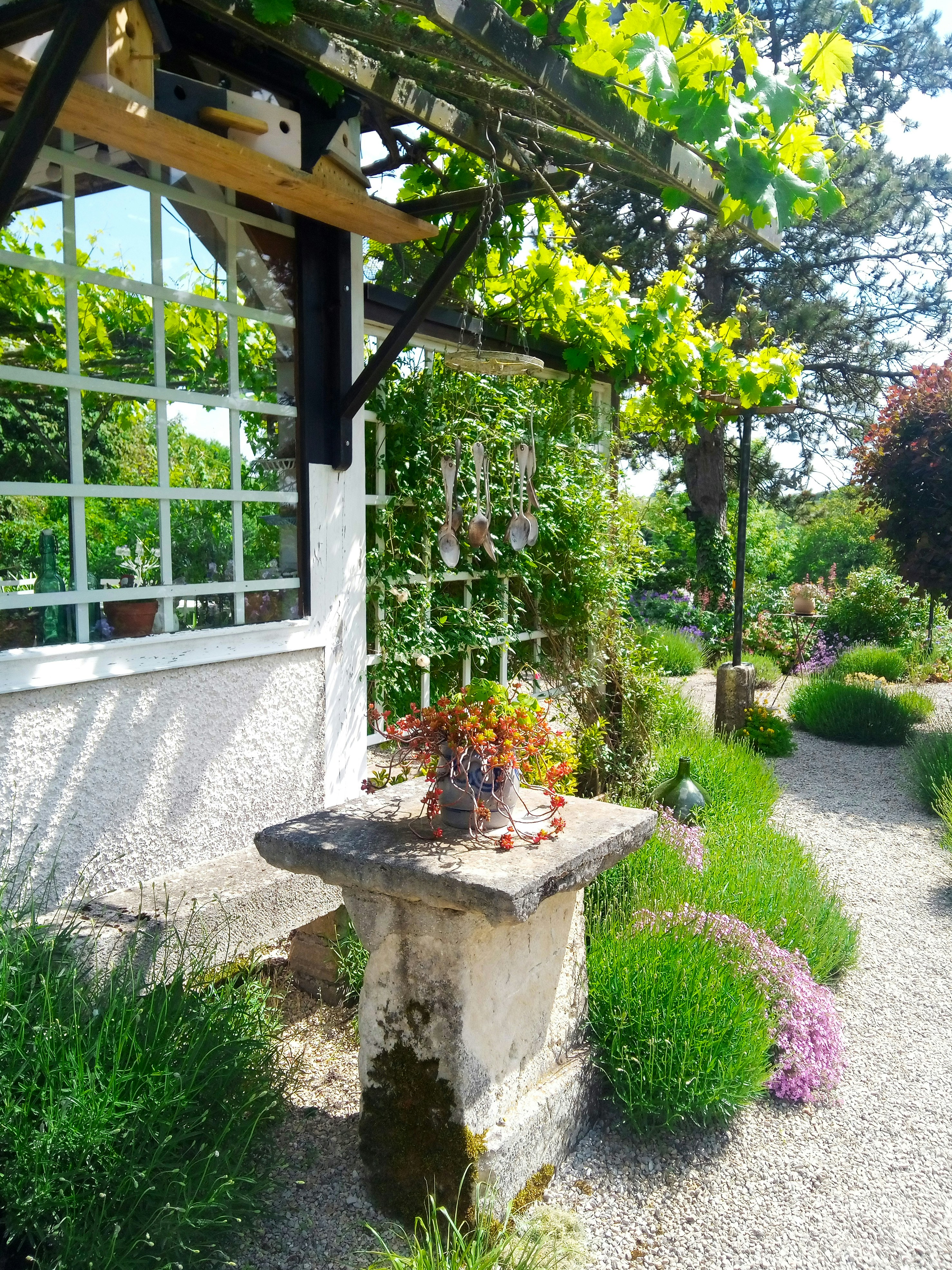 Photo by annayefimenko