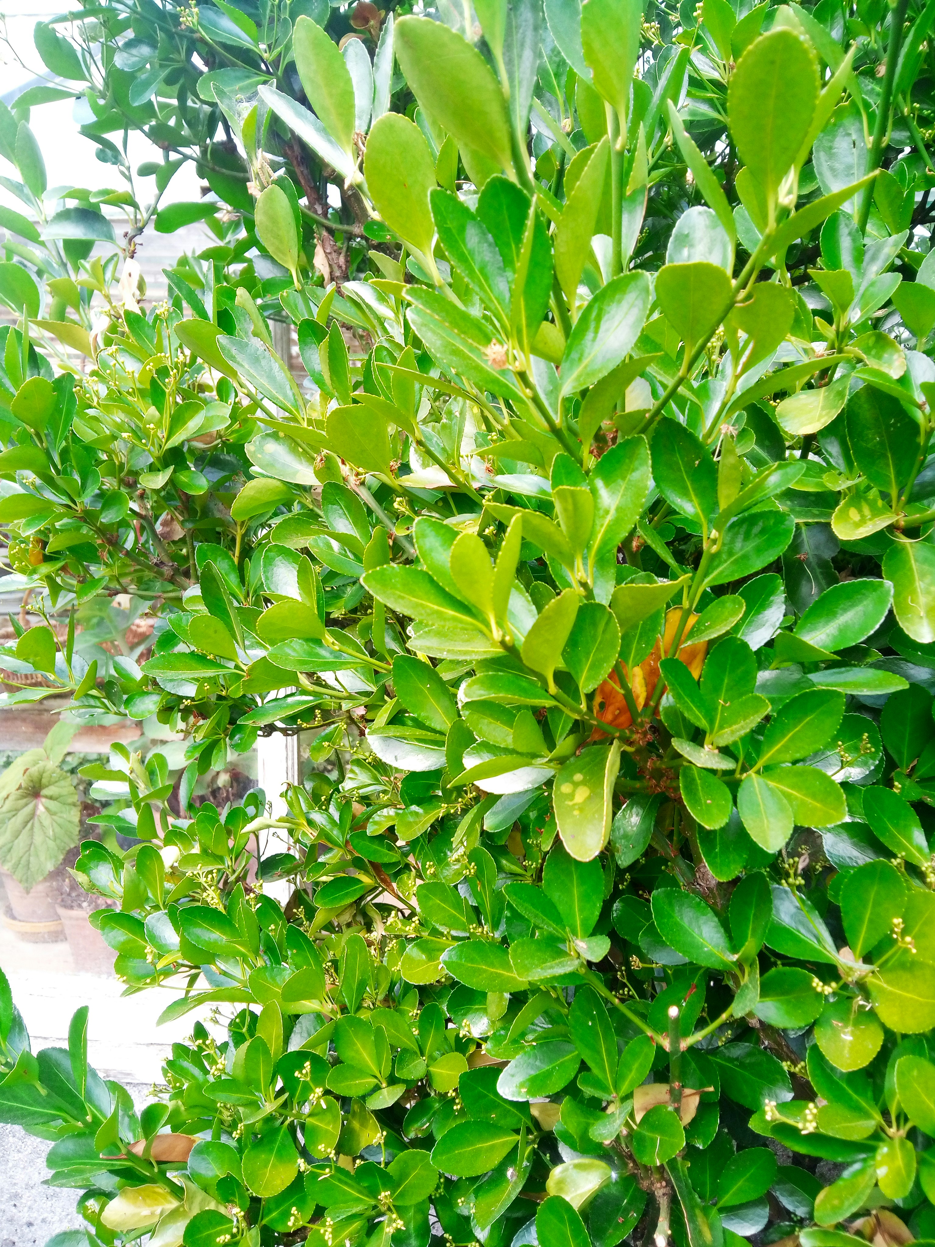 Photo by annayefimenko