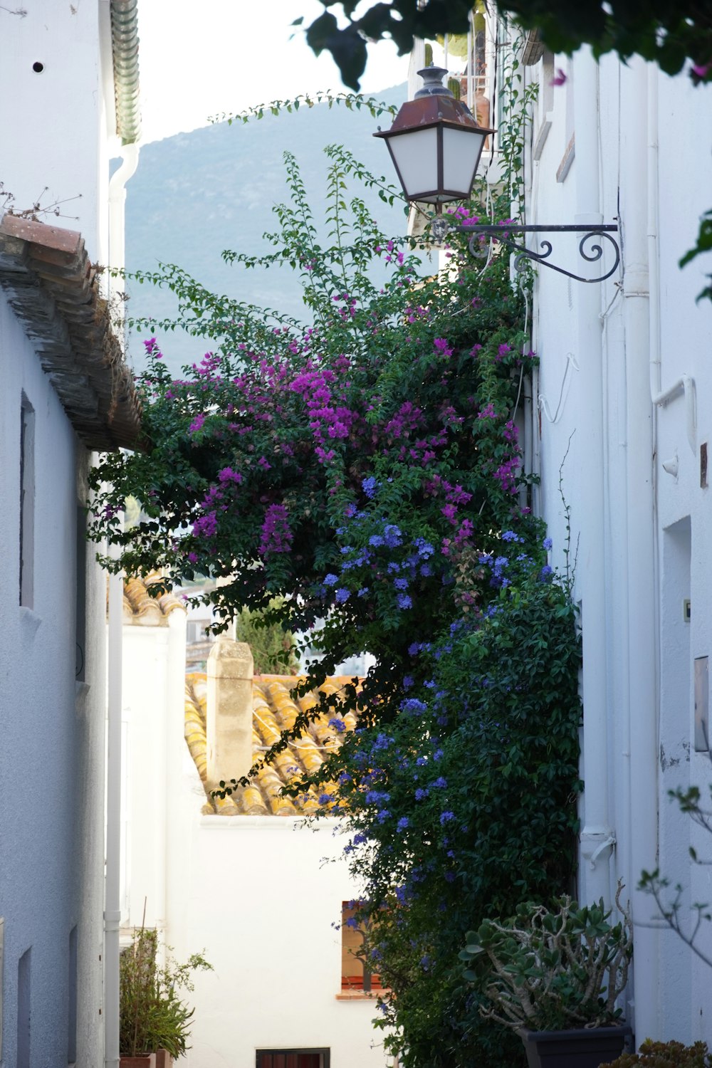 a narrow alleyway with a lamp post and flowers growing on it
