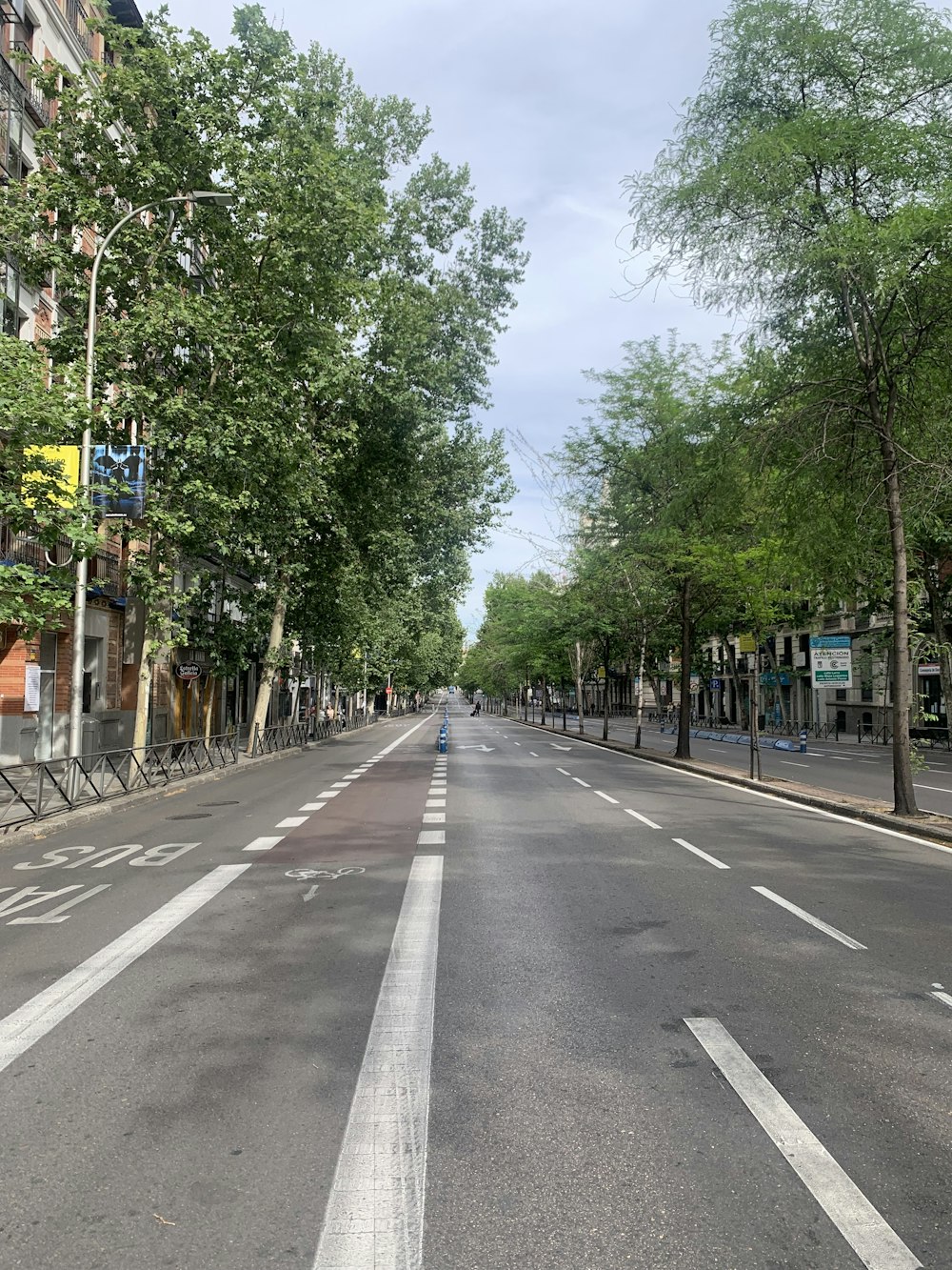 an empty street lined with trees and buildings