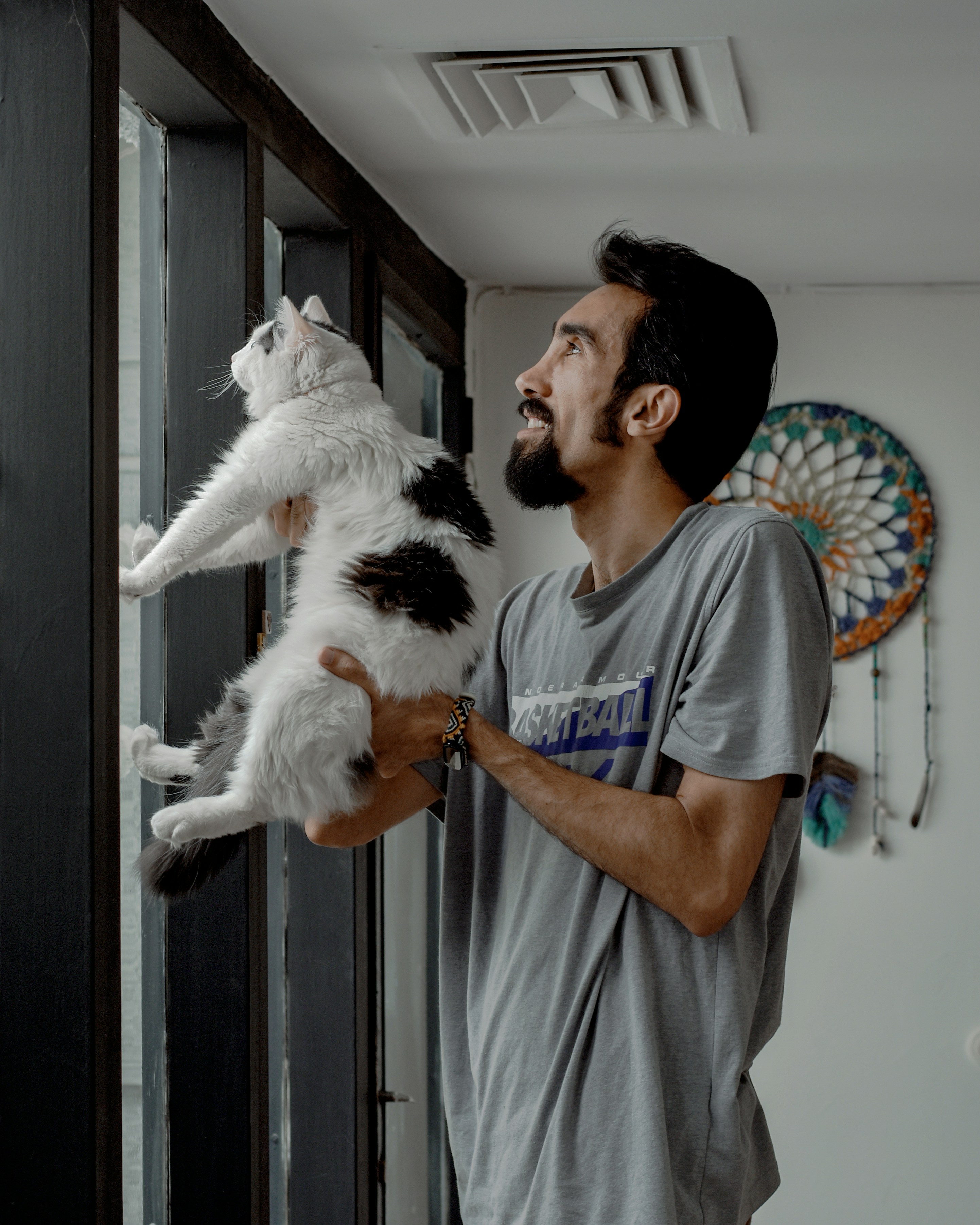 Avaliação oncológica antes da cirurgia — VitaPet Oncologia Veterinária