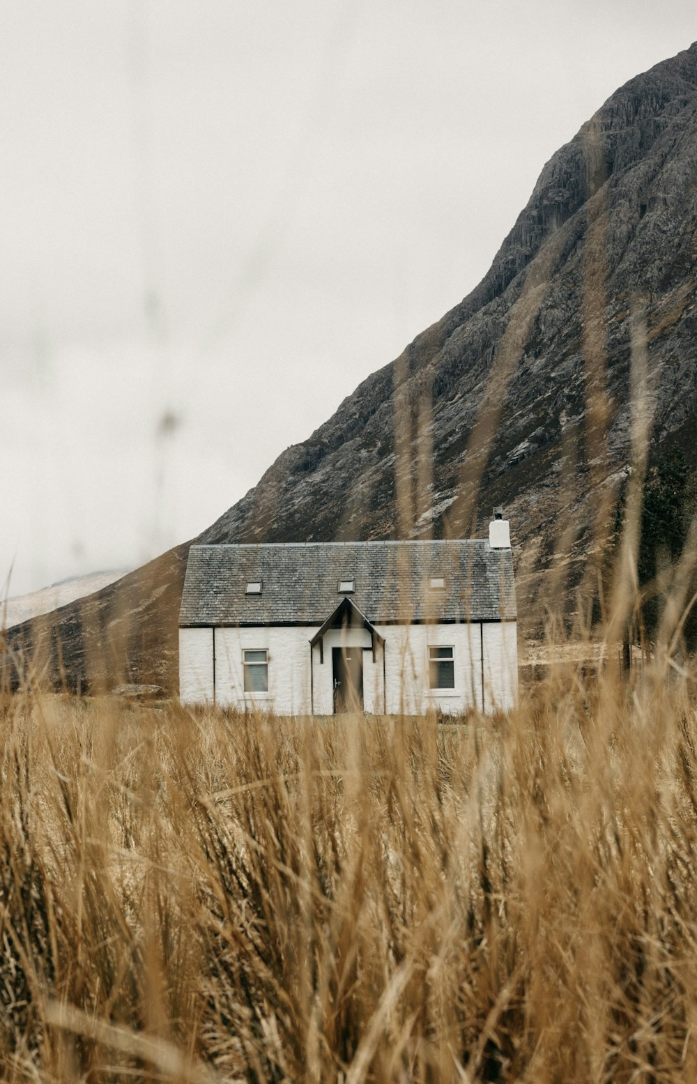 ein haus auf einem feld mit einem berg im hintergrund