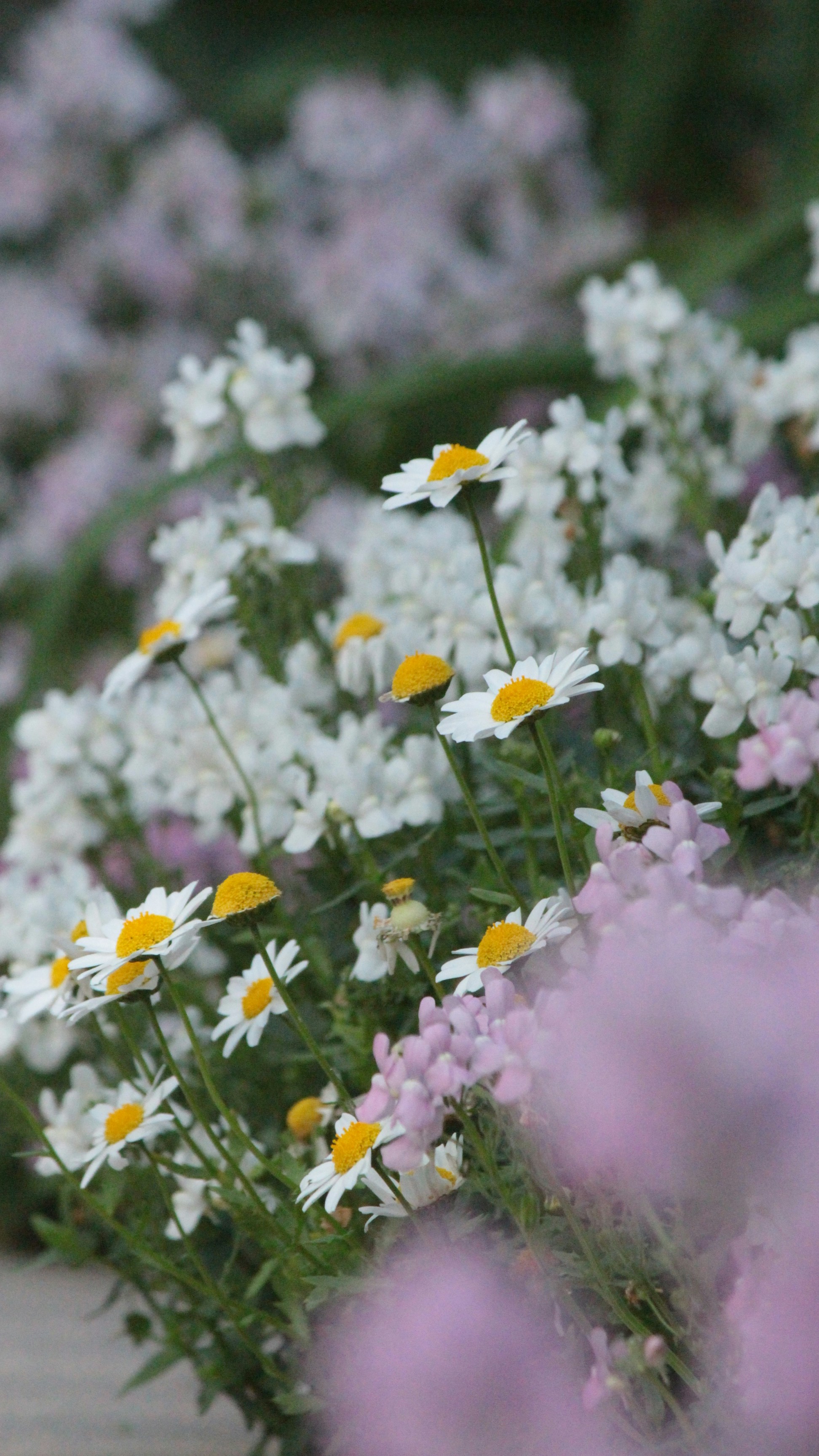 Photo by sailing_snails