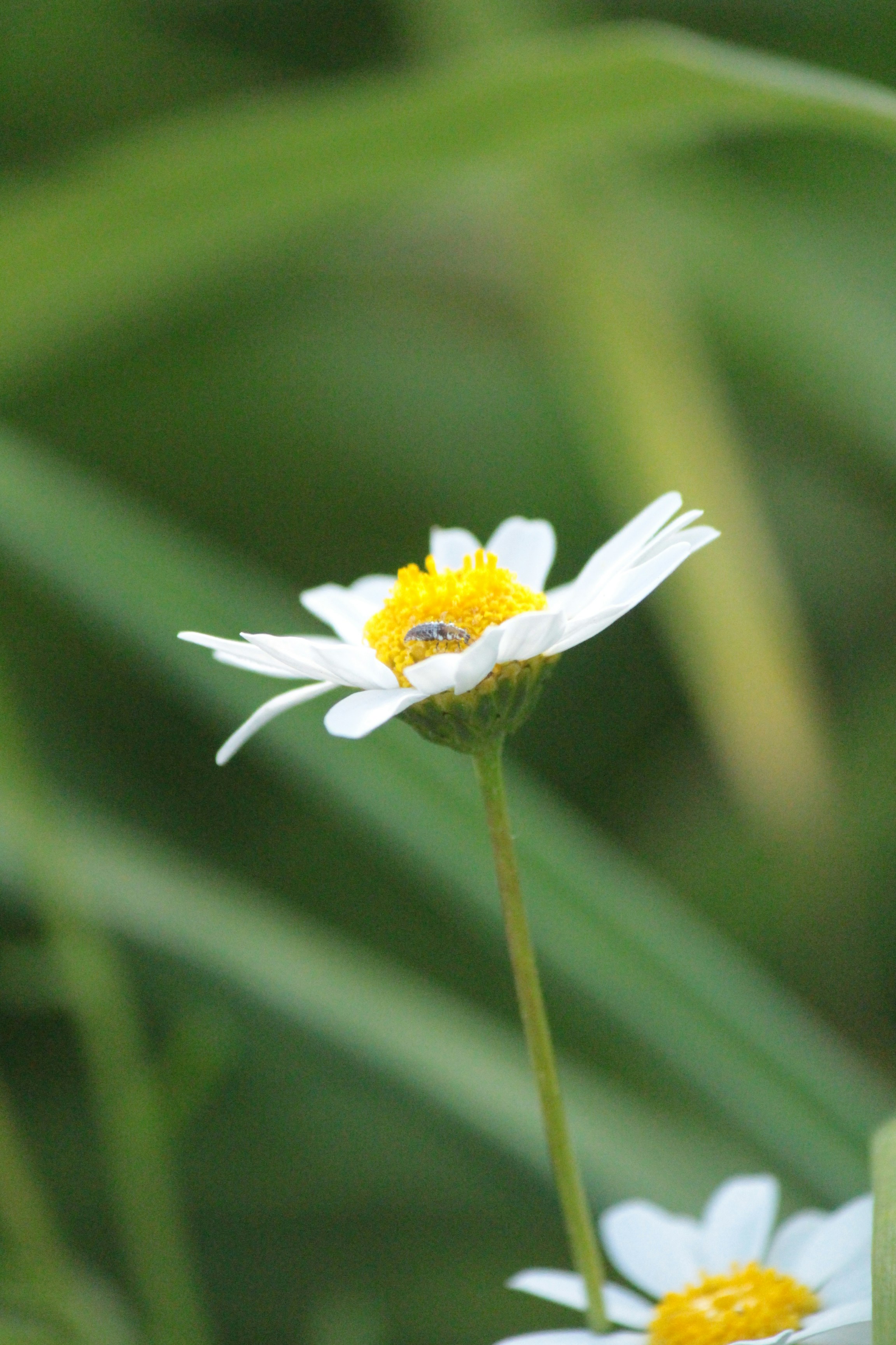 Photo by sailing_snails