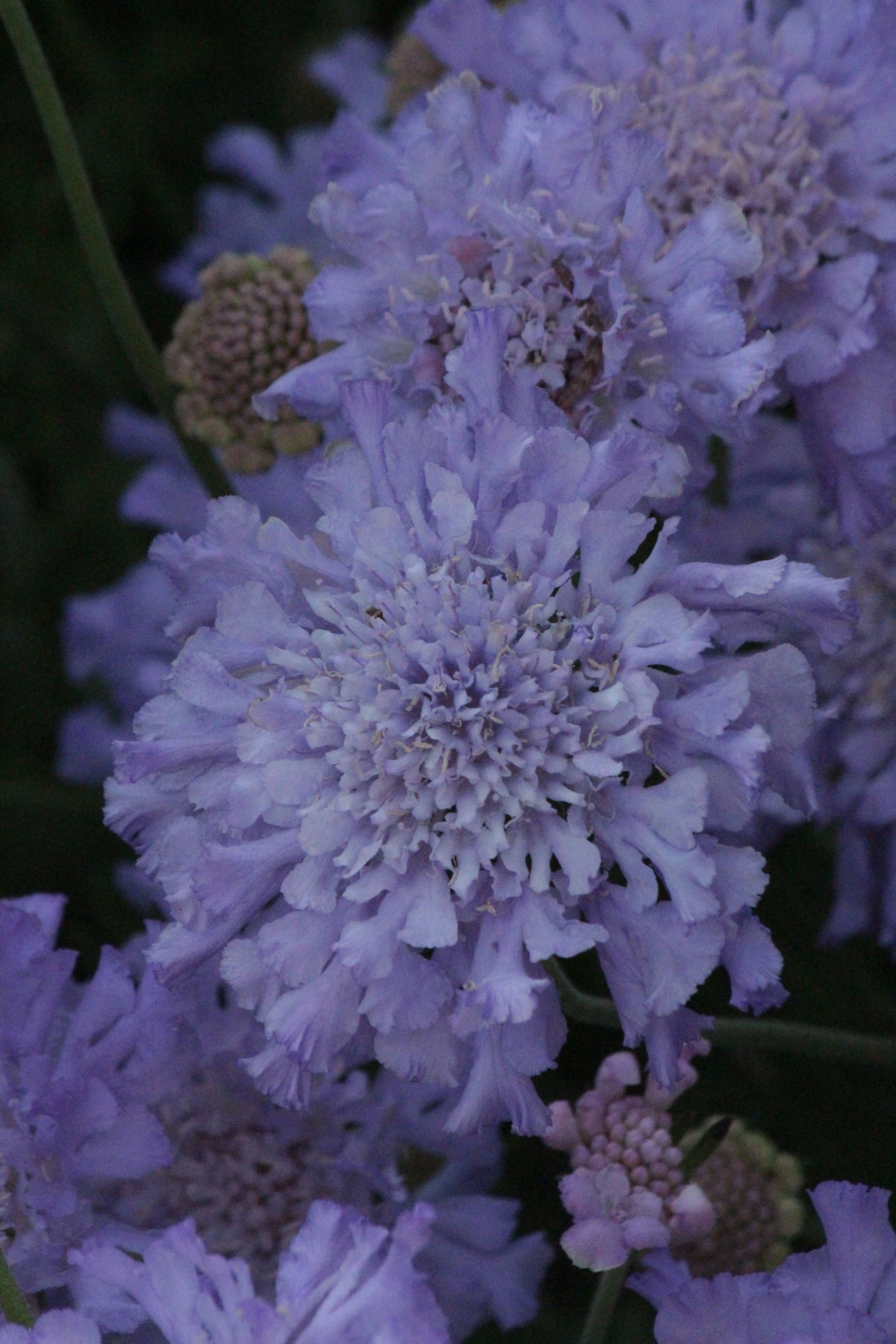 Photo by sailing_snails