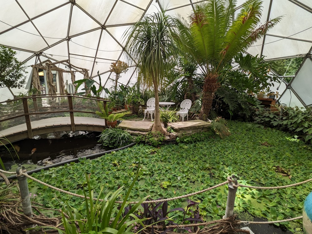 a pond inside of a greenhouse filled with lots of plants