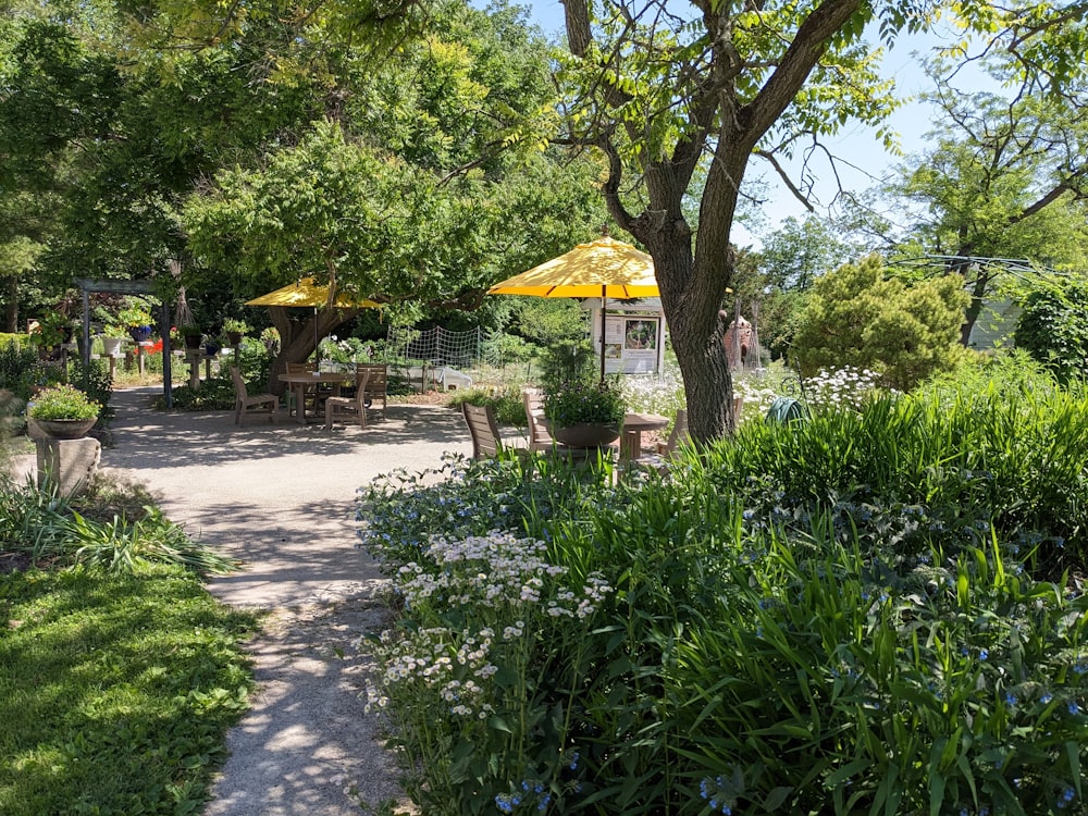 a path through a garden with tables and umbrellas