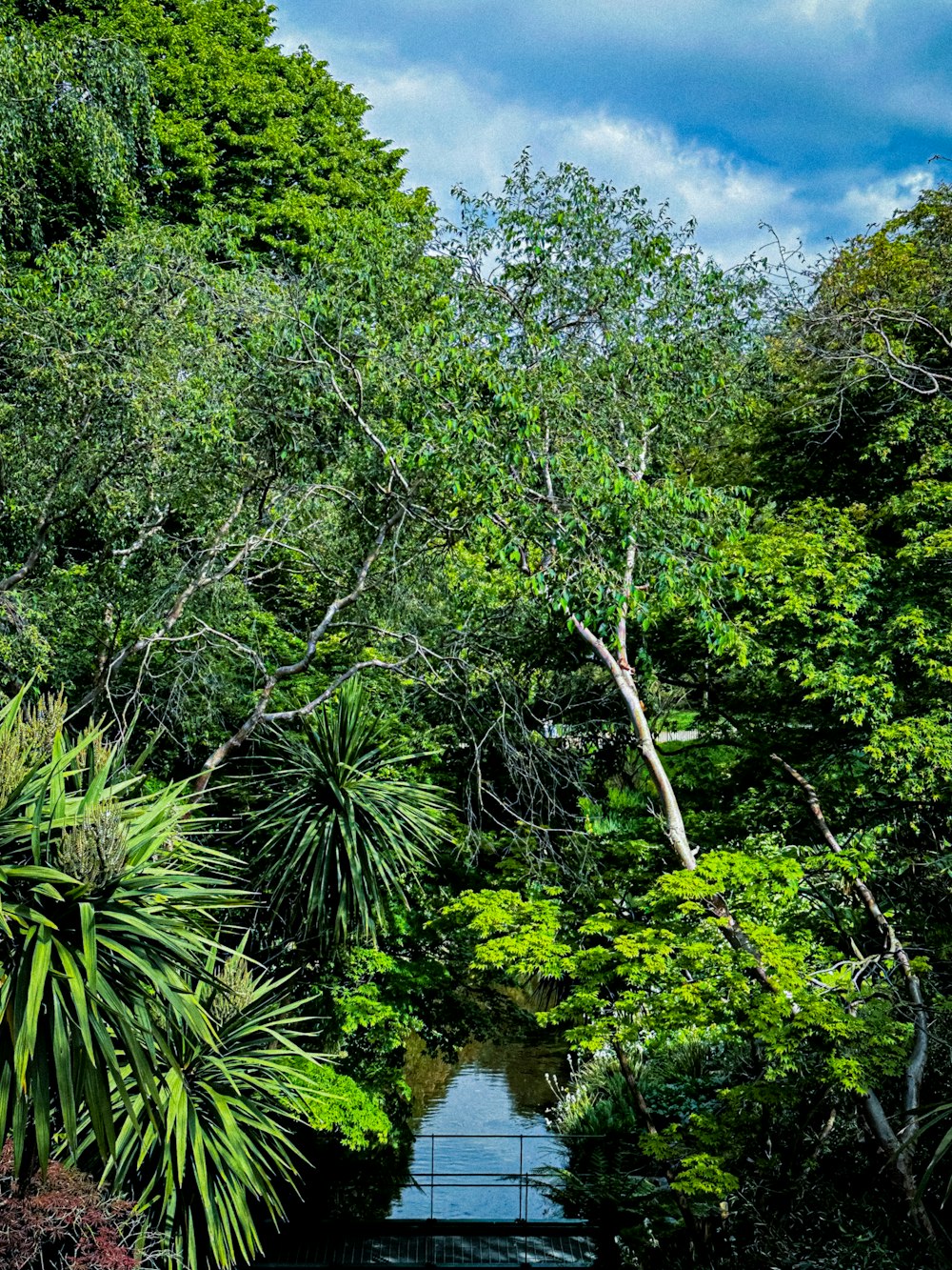 a boat floating on top of a river surrounded by trees