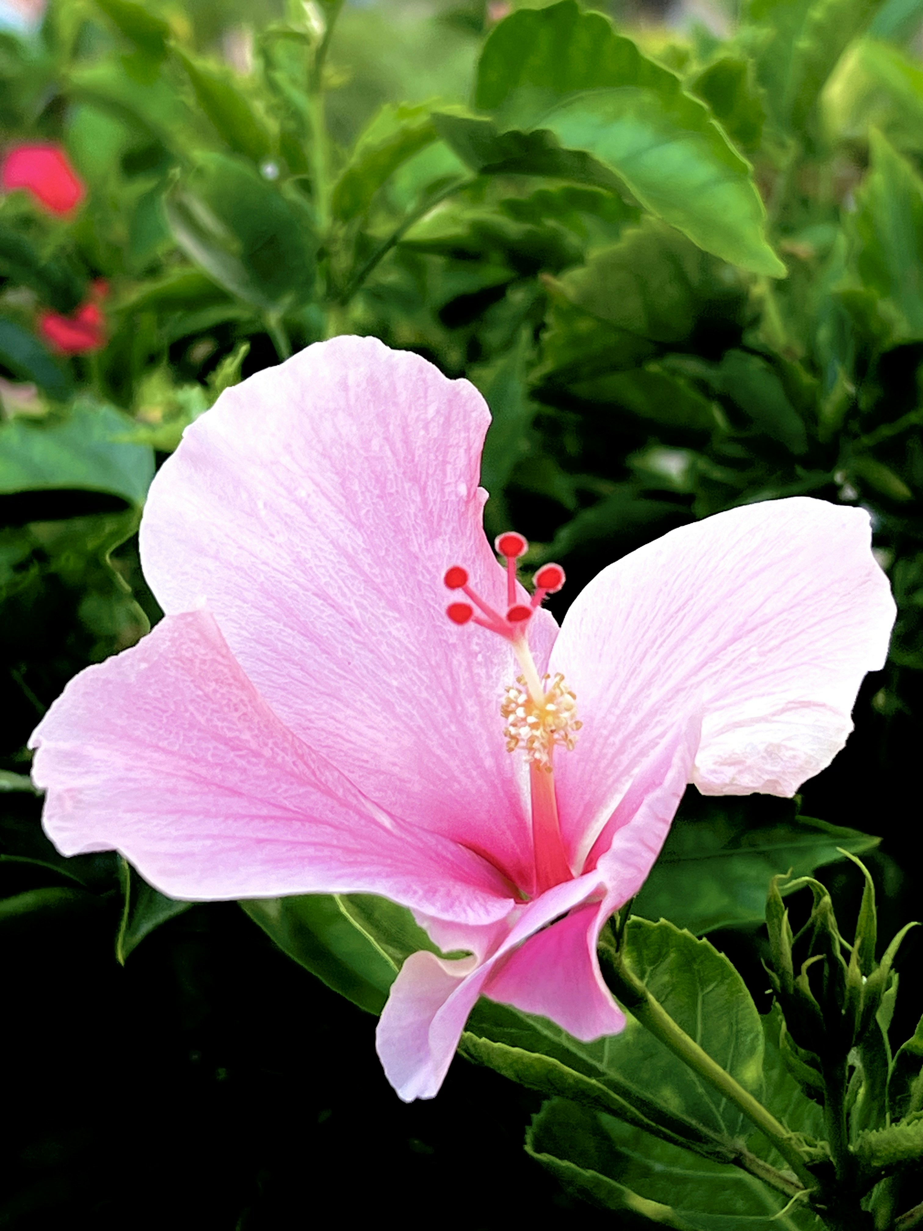 Photo by thanhliem178