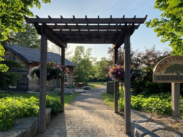 A wooden pergola frames a walkway leading to a rustic cabin surrounded by lush greenery. Hanging flower baskets are displayed on the pergola, and a sign reads 'Aurora Community Arboretum'. The scene is bathed in warm sunlight.