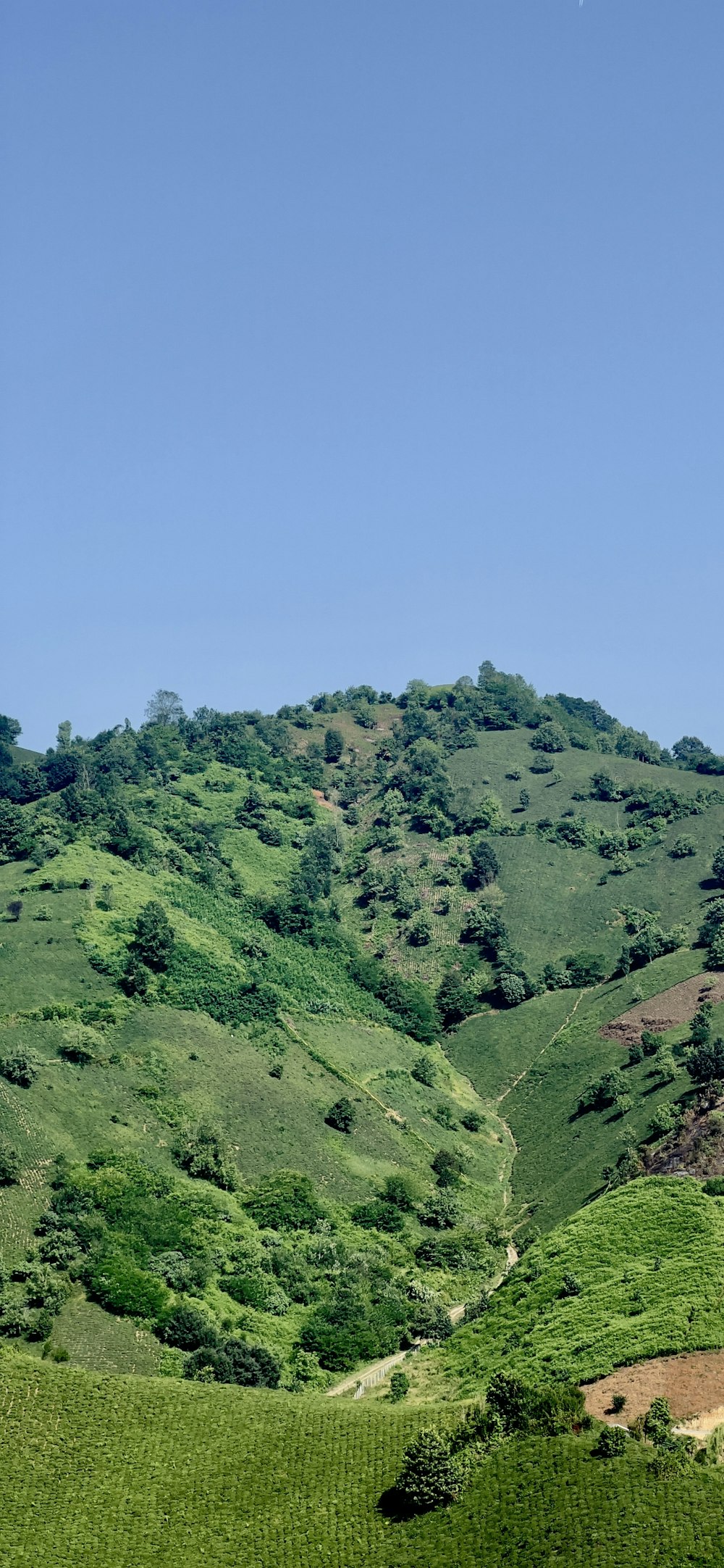 a hill covered in lush green hills under a blue sky