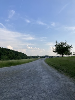 A peaceful farm pathway lined with green trees under a bright blue sky.
