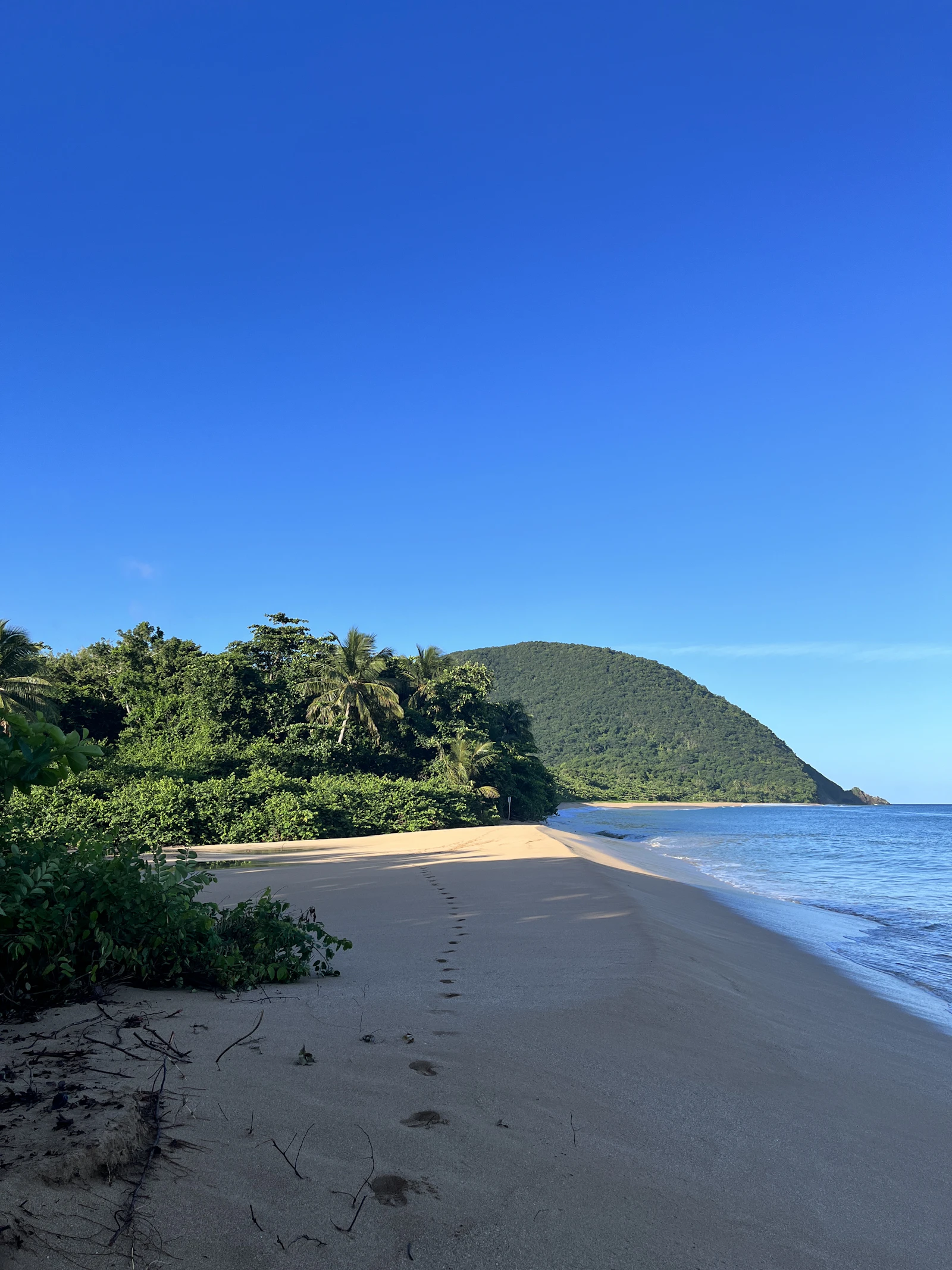 Plage de Grande Anse à Deshaies, vue depuis le sable