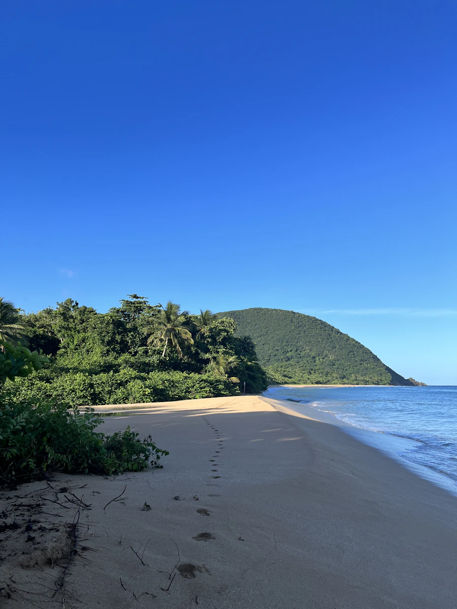 Plage de Grande Anse, sable doré et promontoire