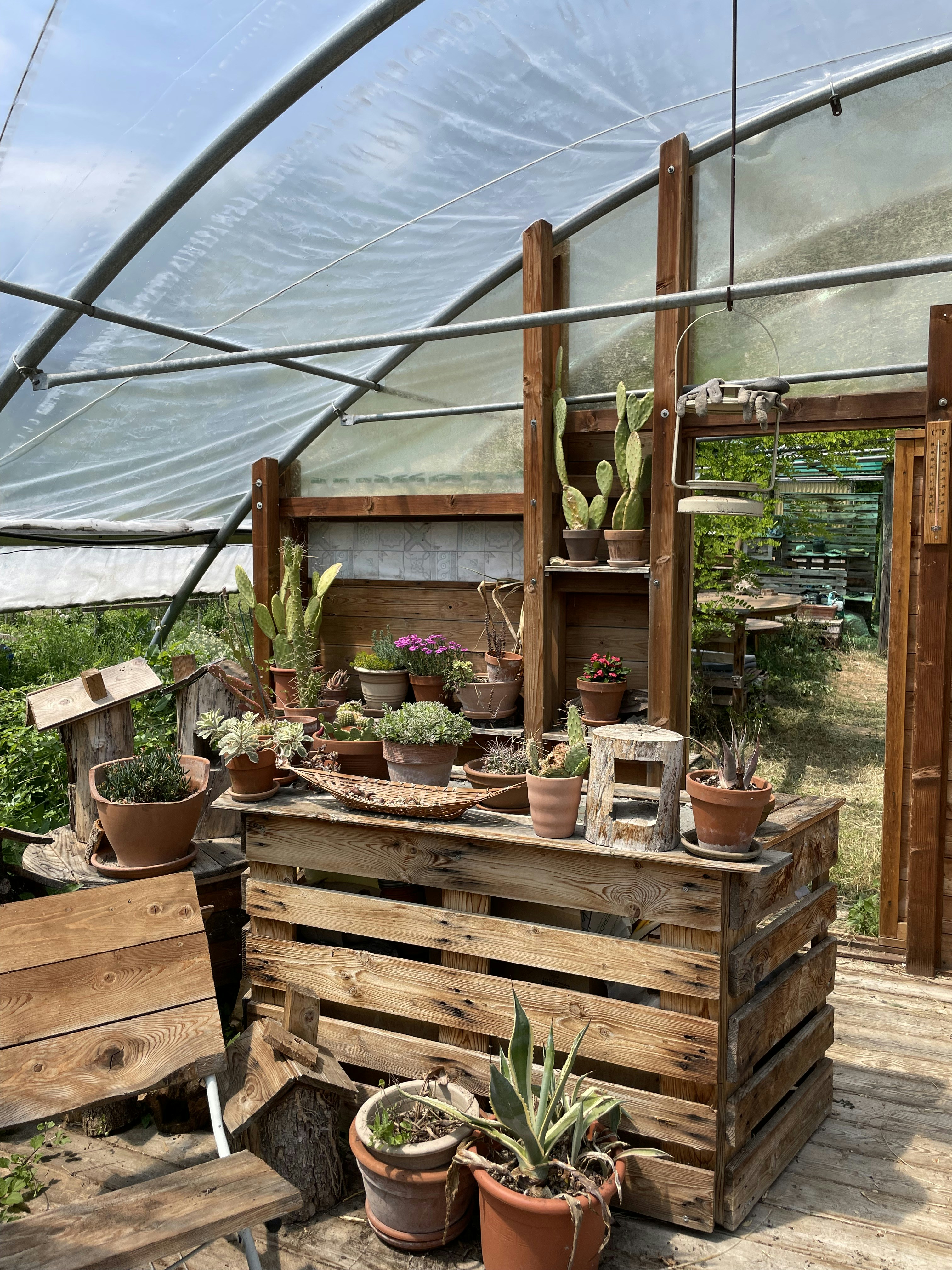 a greenhouse filled with lots of potted plants