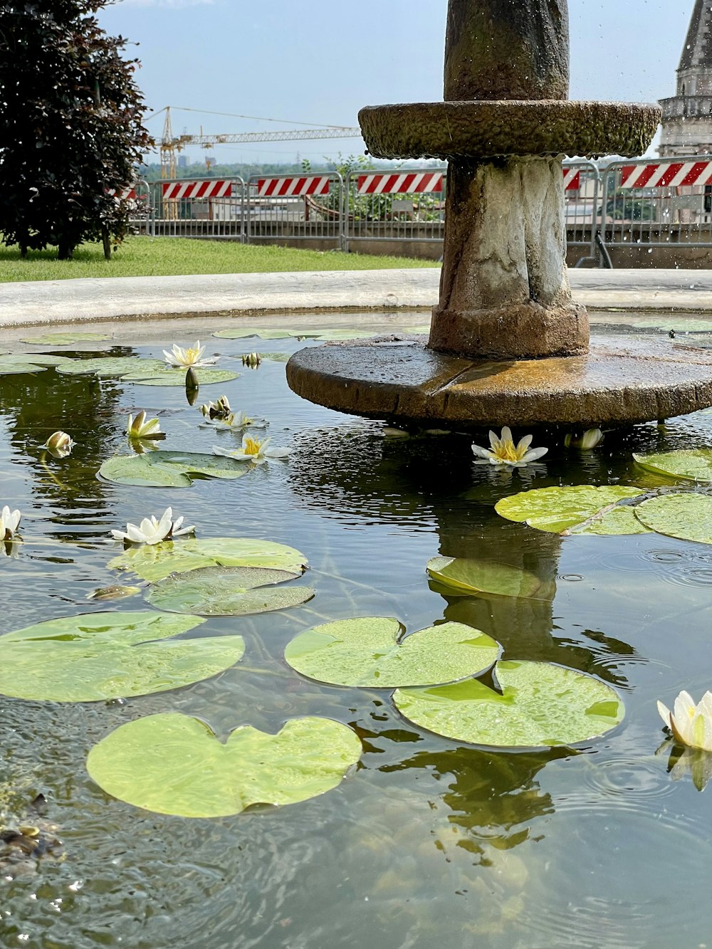 a fountain with water lilies in a park
