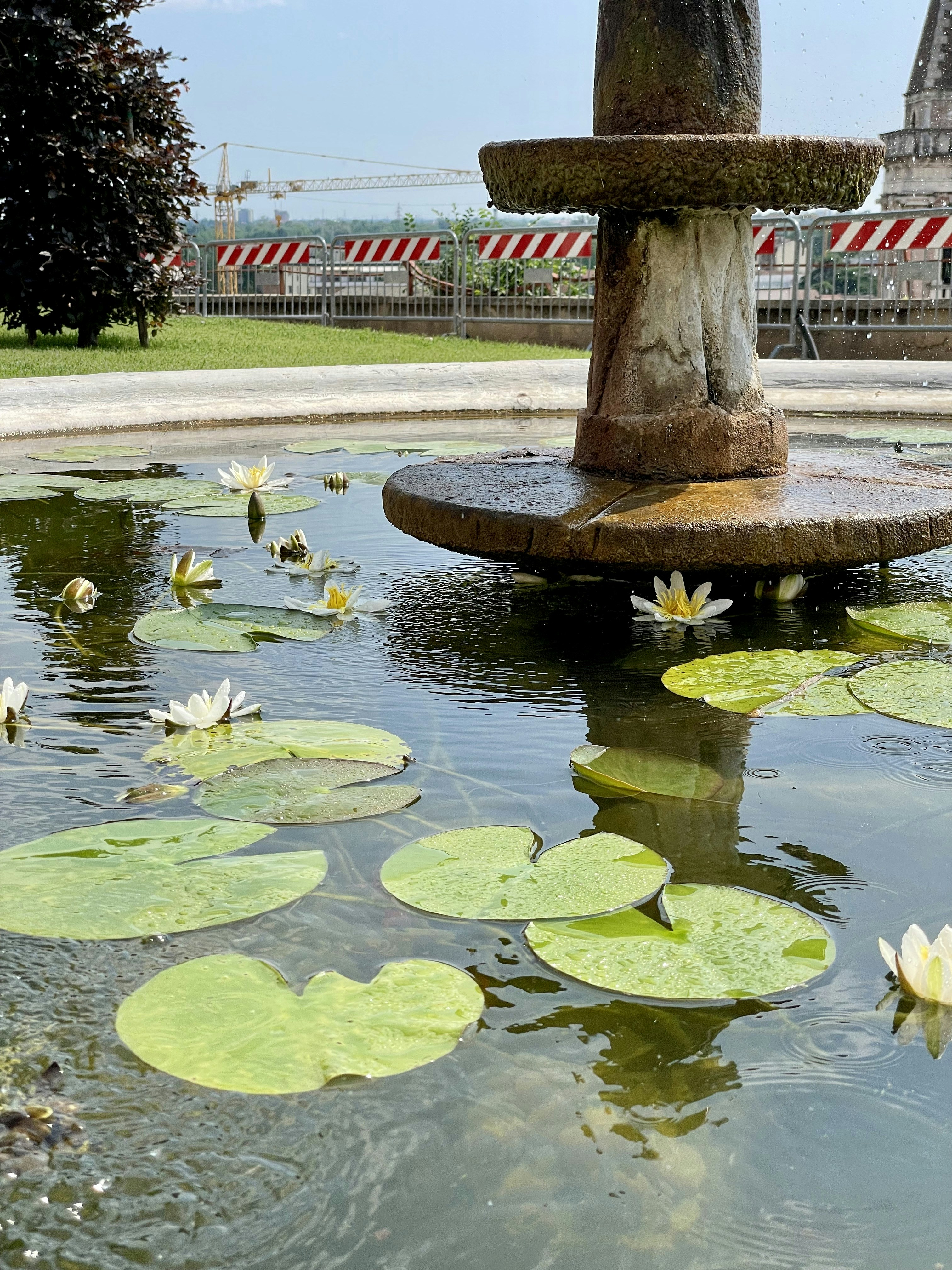 a fountain with water lilies in a park