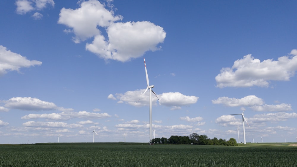 a field of green grass with wind turbines in the background